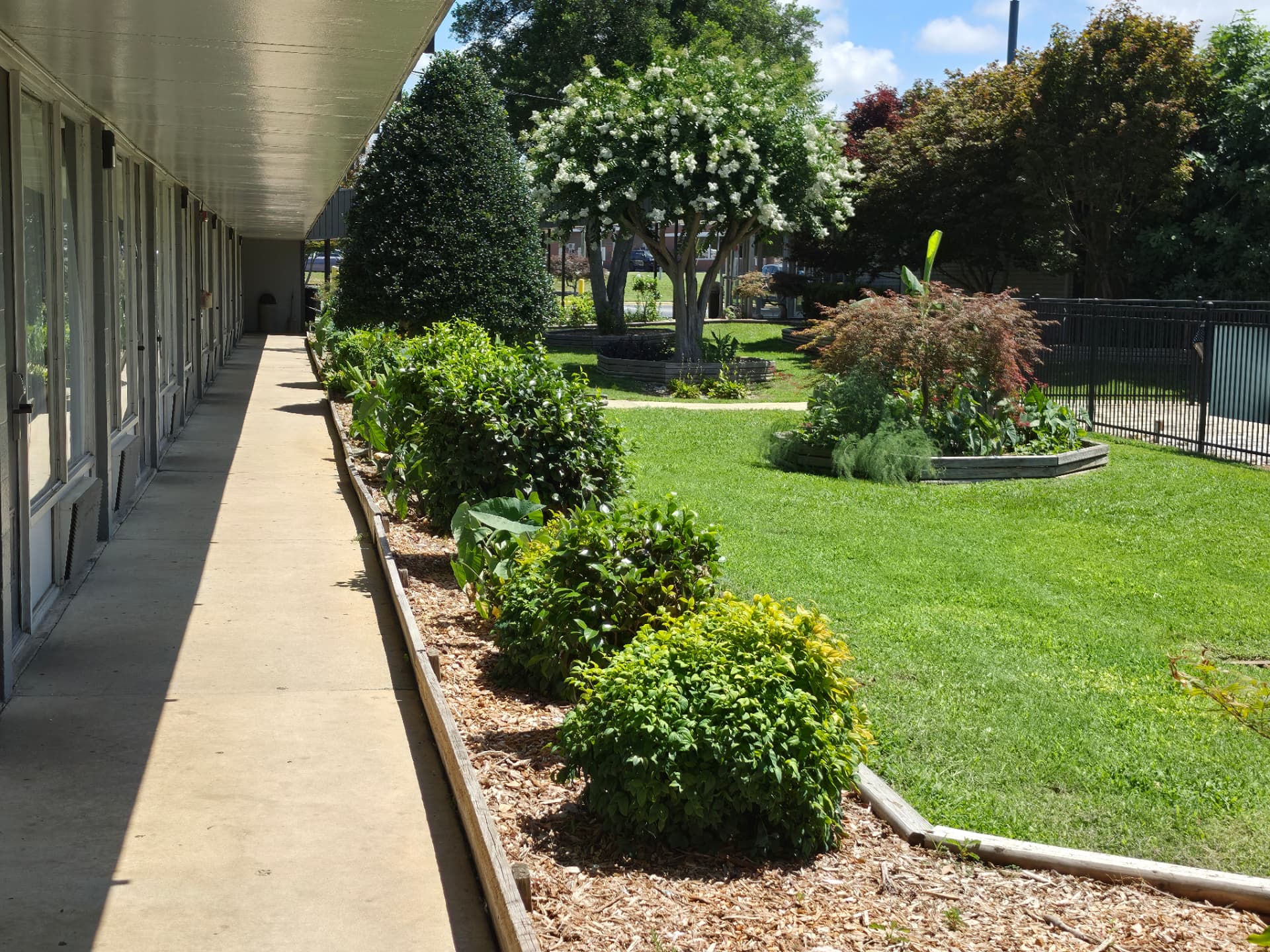 A ground-floor exterior walkway at Masters Economy Inn beside planted borders and a landscaped lawn